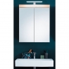 Peegelkapp AMANDA metsik tamm, 60x17xH77 cm LED