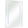 Peegel VELO 50x3xH70 cm LED