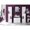 Vannitoakapp TETIS valge / hall, 40x30xH182 cm LED