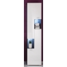 Vannitoakapp TETIS valge / hall, 40x30xH182 cm LED