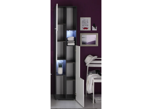 Vannitoakapp TETIS valge / hall, 40x30xH182 cm LED