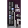 Vannitoakapp TETIS valge / hall, 40x30xH182 cm LED