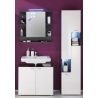 Vannitoakapp TETIS valge / hall, 40x30xH182 cm LED