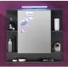 Peegelkapp TETIS valge / hall, 72x20xH76 cm LED
