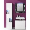 Peegelkapp TETIS valge / hall, 72x20xH76 cm LED