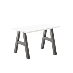 Kirjutuslaud MISTER OFFICE A mattvalge, 120x70xH75 cm