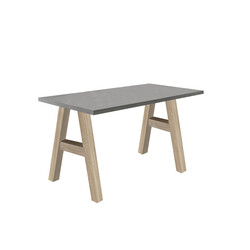 Kirjutuslaud MISTER OFFICE A grafiithall, 120x70xH75 cm