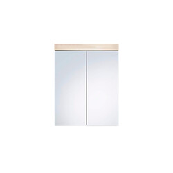 Peegelkapp AMANDA metsik tamm, 60x17xH77 cm LED