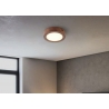 Laevalgusti SKA rooste, D17xH3,6 cm, LED