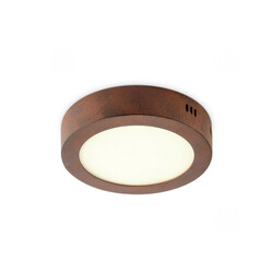 Laevalgusti SKA rooste, D17xH3,6 cm, LED