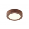 Laevalgusti SKA rooste, D17xH3,6 cm, LED