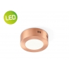 Laevalgusti SKA vask, D12xH3,6 cm, LED