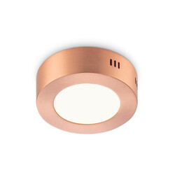 Laevalgusti SKA vask, D12xH3,6 cm, LED