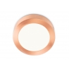 Laevalgusti SKA vask, D17xH3,6 cm, LED