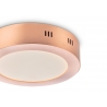 Laevalgusti SKA vask, D17xH3,6 cm, LED