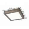 Laevalgusti SKA tumehall, 22,5x22,5xH3,6 cm, LED