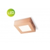 Laevalgusti SKA vask, 12x12xH3,6 cm, LED