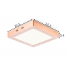 Laevalgusti SKA vask, 22,5x22,5xH3,6 cm, LED