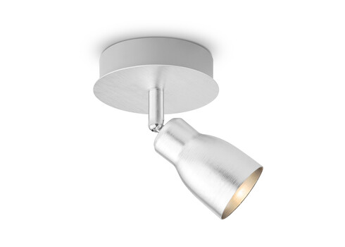 Kohtvalgusti ALBA hall, D11,5xH13,5 cm, LED