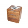 Sahtliboks GOA sheesham, 50x40xH60 cm