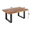 Diivanilaud IRON CRAFT sheesham, 100x60xH45 cm