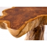 Diivanilaud ROOT tiigipuu, 50x50xH40 cm
