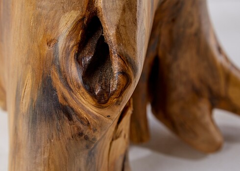 Diivanilaud ROOT tiigipuu, 50x50xH40 cm