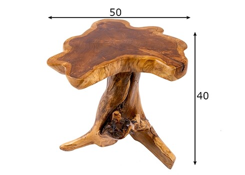 Diivanilaud ROOT tiigipuu, 50x50xH40 cm