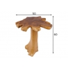 Diivanilaud ROOT tiigipuu, 50x50xH60 cm