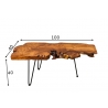 Diivanilaud WILD akaatsia, 100x40xH40 cm