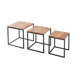 Abilaudade komplekt ELEMENTS sheesham