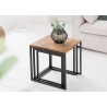 Abilaudade komplekt ELEMENTS sheesham