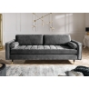 Diivan VELVET hall, 225x95xH90 cm