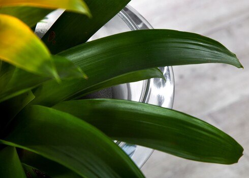 Vaas Goal hõbe, 35x35xH60 cm