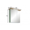 Peegelkapp SALVIE tamm, 60x20xH72 cm, LED