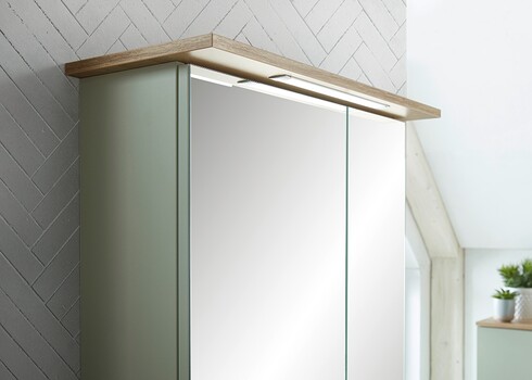 Peegelkapp SALVIE tamm, 60x20xH72 cm, LED