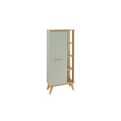 Vannitoakapp SALVIE salvei / tamm, 50,5x33xH128 cm