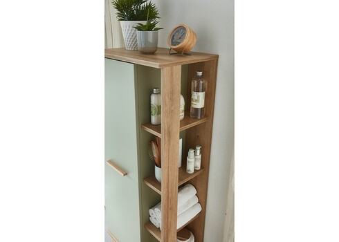 Vannitoamööbli komplekt SALVIE salvei / tamm, LED