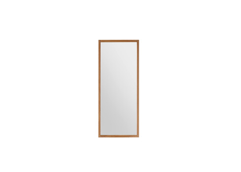 Seinapeegel ALWAR tamm, 50x2xH120 cm