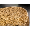 Diivanilaud LEAF kuldne, 122x69xH42 cm
