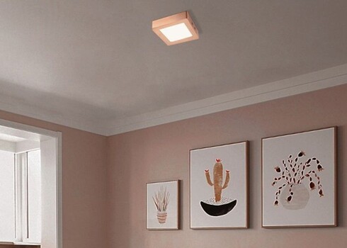 Laevalgusti SKA vask, 22,5x22,5xH3,6 cm, LED