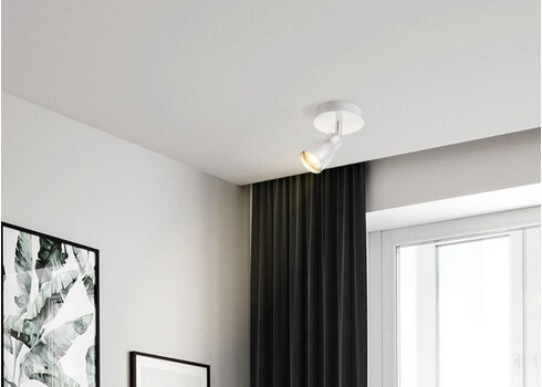 Kohtvalgusti ALBA hall, D11,5xH13,5 cm, LED