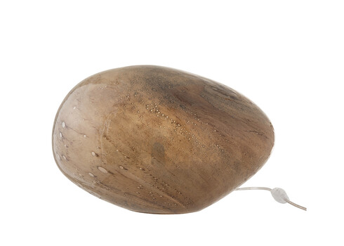 Lauavalgusti DANY roosa, 40x27xH32 cm