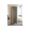 Riidekapp BLANSHE tumehall / tamm, 60x42xH200 cm