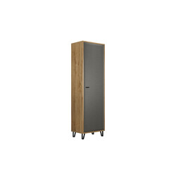 Riidekapp BLANSHE tumehall / tamm, 60x42xH200 cm