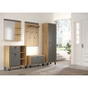 Riidekapp BLANSHE tumehall / tamm, 60x42xH200 cm
