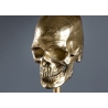 Lauavalgusti SKULL kuldne / must, 40x40xH56 cm