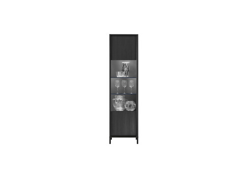 Vitriinkapp STEEL must, 55x40xH203 cm