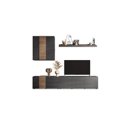 Elutoakomplekt VENUS hall / tamm, 301x44xH195 cm