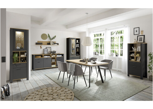 Vitriinkapp NELE antratsiit / tamm, 96x44xH203 cm